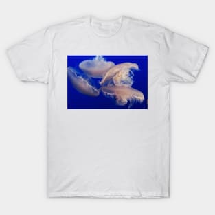 Dance of the Jellyfish T-Shirt